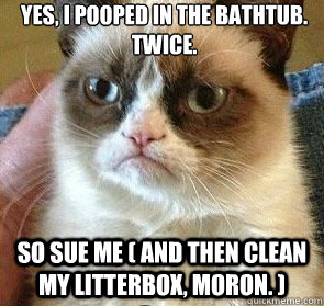 Yes, I pooped in the bathtub. Twice. So sue me ( and then clean my litterbox, moron. )   - Yes, I pooped in the bathtub. Twice. So sue me ( and then clean my litterbox, moron. )    Grumpy Cat Meme