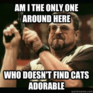 Am i the only one around here who doesn't find cats adorable - Am i the only one around here who doesn't find cats adorable  Am I The Only One Round Here