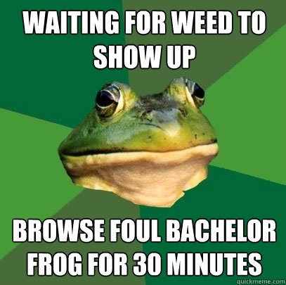 Waiting for weed to show up browse foul bachelor frog for 30 minutes  Foul Bachelor Frog