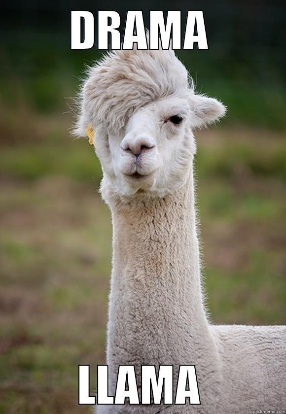 DRAMA LLAMA Misc
