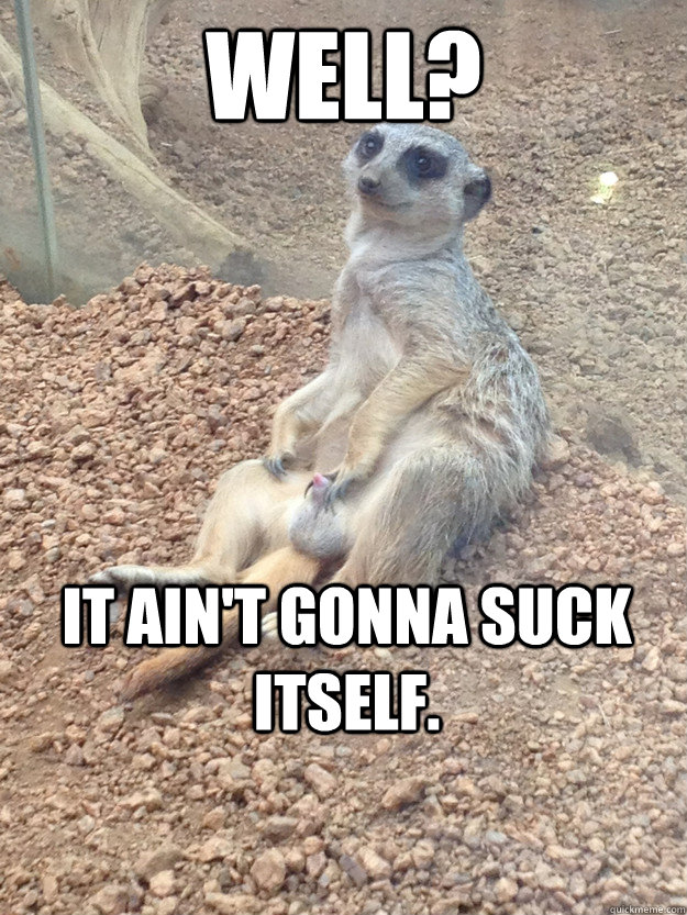 Well? It ain't gonna suck itself. - Well? It ain't gonna suck itself.  Erotic Meerkat