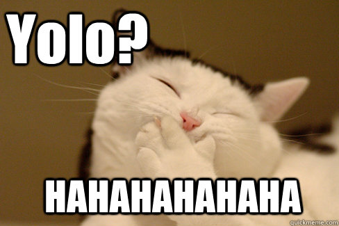 Yolo? HAHAHAHAHAHA  Laughing Cat