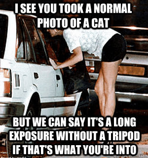 I see you took a normal photo of a cat But we can say it's a long exposure without a tripod if that's what you're into  Karma Whore