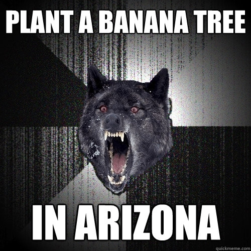 plant a banana tree in arizona  Insanity Wolf