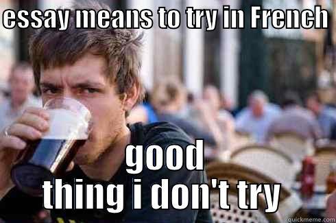 ESSAY MEANS TO TRY IN FRENCH  GOOD THING I DON'T TRY  Lazy College Senior
