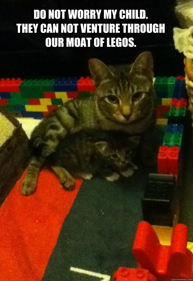 Do not worry my child.           They can not venture through our moat of legos. - Do not worry my child.           They can not venture through our moat of legos.  Protective Cat Parent