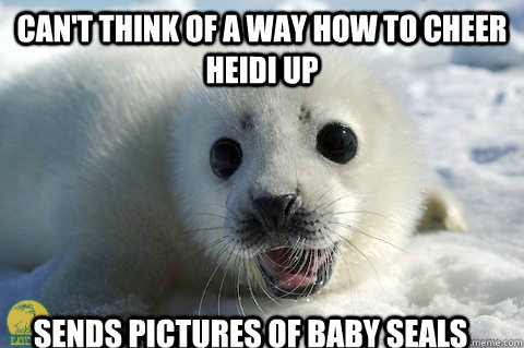 CAN'T THINK OF A WAY HOW TO CHEER HEIDI UP Sends pictures of baby seals - CAN'T THINK OF A WAY HOW TO CHEER HEIDI UP Sends pictures of baby seals  Cute Seal