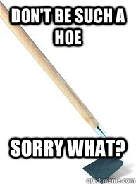 don't be such a hoe sorry what?  hoe vs ho
