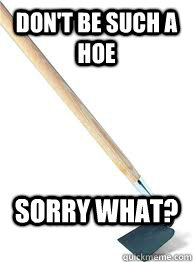 don't be such a hoe sorry what? - don't be such a hoe sorry what?  hoe vs ho