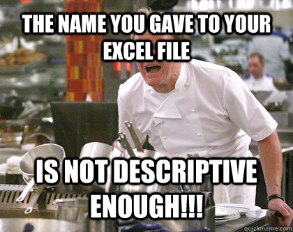the name you gave to your excel file is not descriptive enough!!! - the name you gave to your excel file is not descriptive enough!!!  Ramsay Gordon Yelling