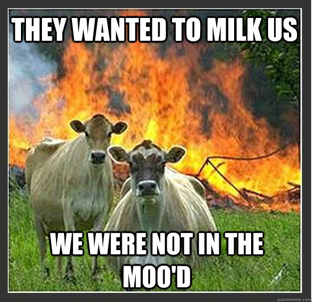 They wanted to milk us we were not in the moo'd  Evil cows