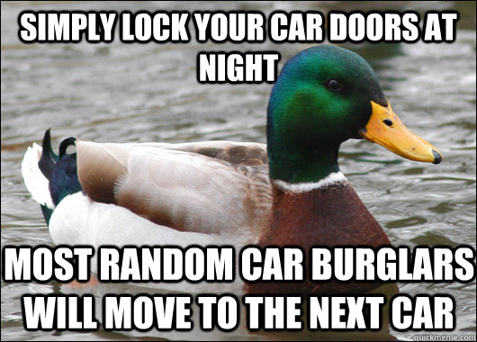 simply lock your car doors at night most random car burglars will move to the next car  Actual Advice Mallard
