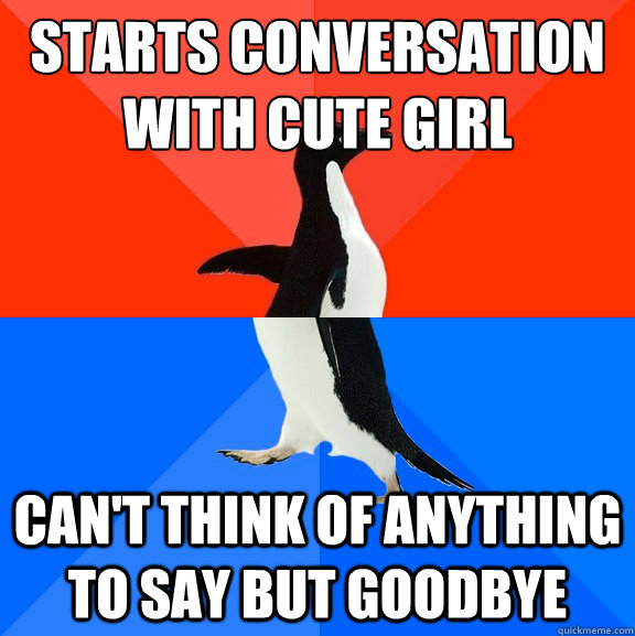 starts conversation with cute girl can't think of anything to say but goodbye  Socially Awesome Awkward Penguin