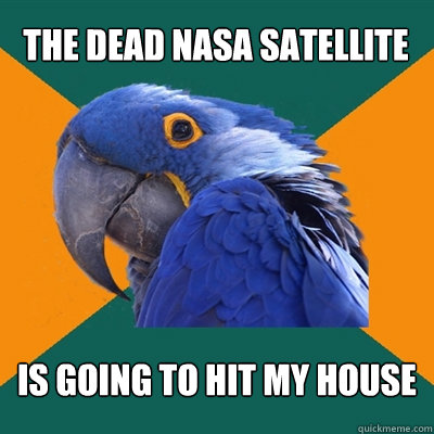 the dead NASA satellite 
is going to hit my house  Paranoid Parrot
