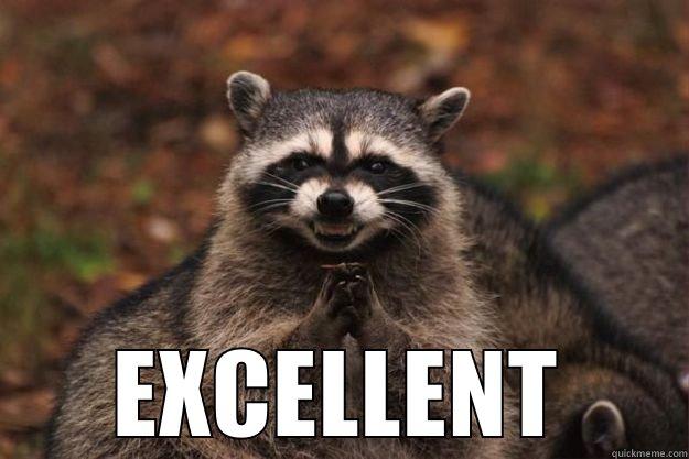  EXCELLENT Evil Plotting Raccoon