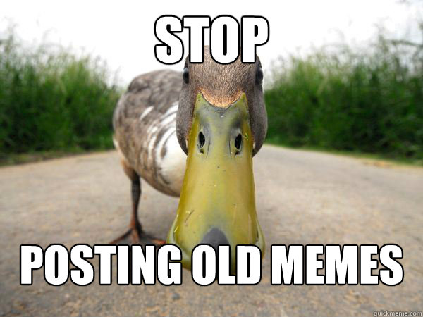 stop posting old memes - stop posting old memes  In Your Face Advice Mallard