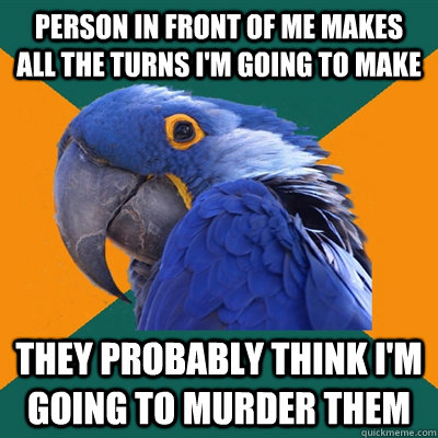 Person in front of me makes all the turns I'm going to make They probably think I'm going to murder them  Paranoid Parrot