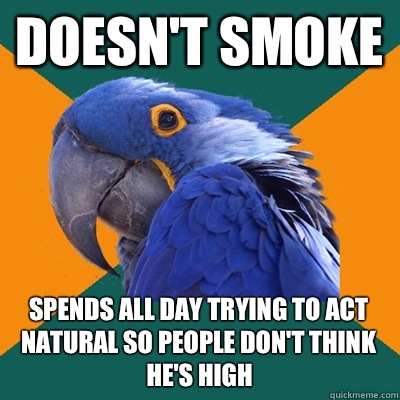 Doesn't smoke spends all day trying to act natural so people don't think he's high  Paranoid Parrot
