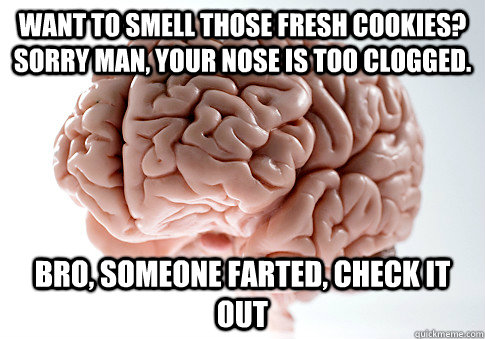 Want to smell those fresh cookies? Sorry man, your nose is too clogged. Bro, someone farted, check it out  Scumbag Brain
