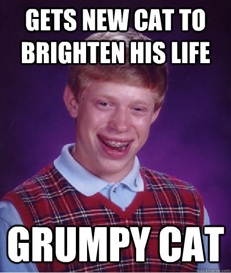 Gets new cat to brighten his life Grumpy cat - Gets new cat to brighten his life Grumpy cat  Bad Luck Brian