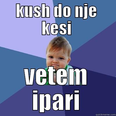 KUSH DO NJE KESI VETEM IPARI Success Kid