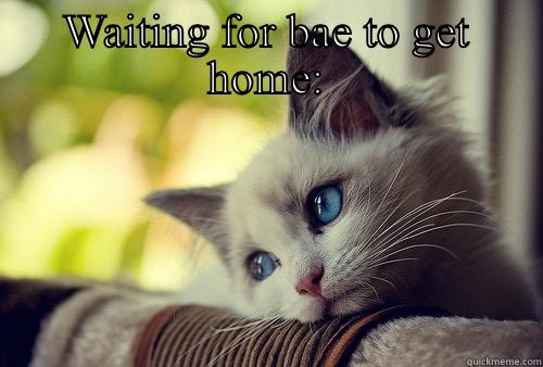 WAITING FOR BAE TO GET HOME:  First World Problems Cat