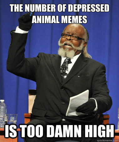 The number of depressed animal memes Is too damn high  The Rent Is Too Damn High