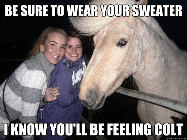 be sure to wear your sweater i know you'll be feeling colt  Ridiculously Photogenic Horse
