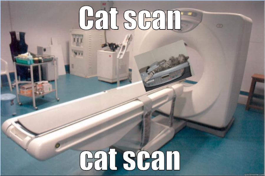 CAT SCAN CAT SCAN Misc
