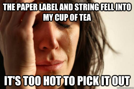 The paper label and string fell into my cup of tea it's too hot to pick it out  First World Problems