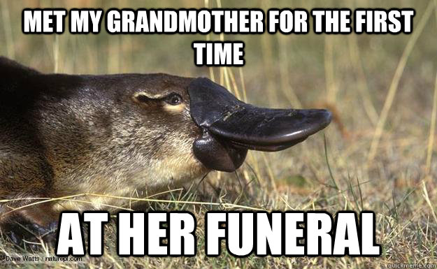 Met my Grandmother for the first time at her funeral - Met my Grandmother for the first time at her funeral  Kind of Positive Platypus
