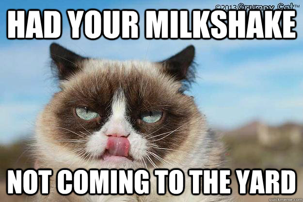 had your milkshake not coming to the yard - had your milkshake not coming to the yard  Milkshake Grumpy Cat