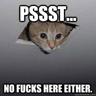 Pssst... No fucks here either. - Pssst... No fucks here either.  Ceiling Cat