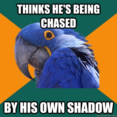 thinks he's being chased by his own shadow  Paranoid Parrot