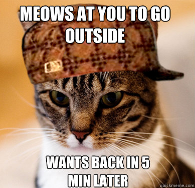 Meows at you to go outside Wants back in 5 min later  Scumbag Cat
