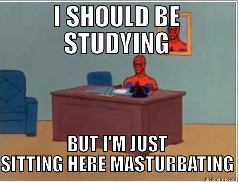 I SHOULD BE STUDYING BUT I'M JUST SITTING HERE MASTURBATING Spiderman Desk