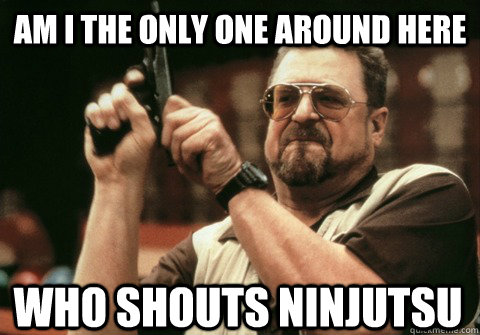 Am I the only one around here who shouts ninjutsu - Am I the only one around here who shouts ninjutsu  Am I the only one