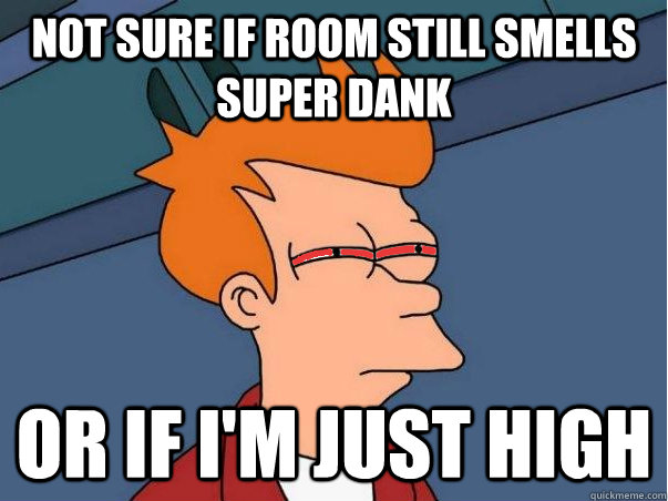 Not sure if room still smells super dank Or if i'm just high  High Fry