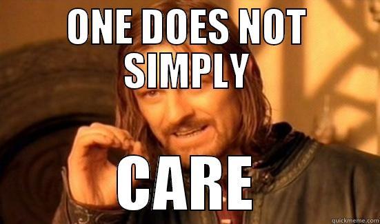 ONE DOES NOT SIMPLY CARE Boromir