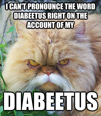 I can't pronounce the word diabeetus right on the account of my Diabeetus  Diabeetus Cat