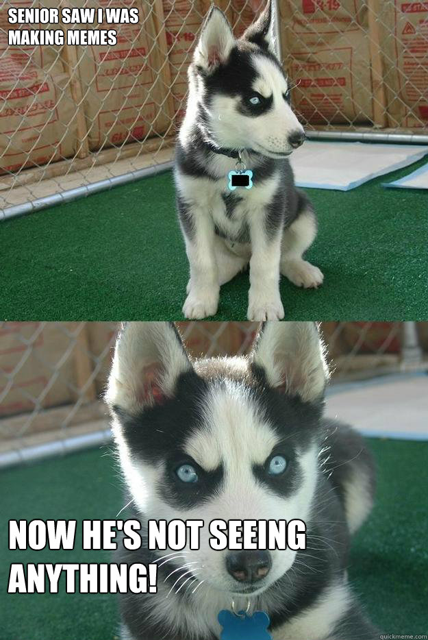 Senior saw I was 
making memes now he's not seeing anything!  Insanity puppy