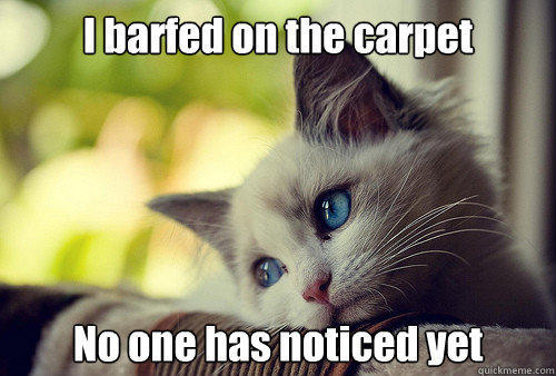 I barfed on the carpet No one has noticed yet - I barfed on the carpet No one has noticed yet  First World Problems Cat