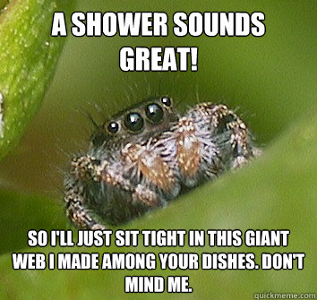 A shower sounds great! So I'll just sit tight in this giant web I made among your dishes. Don't mind me.  Misunderstood Spider