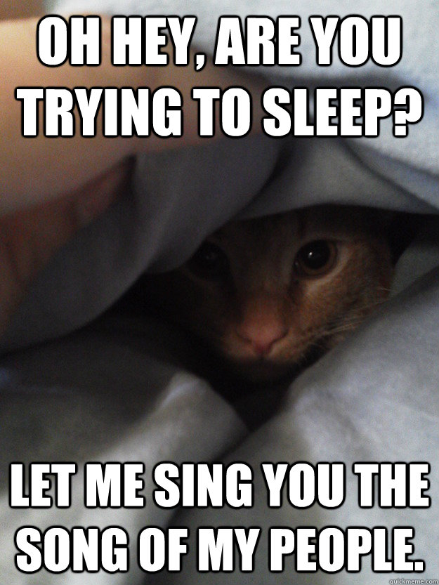 Oh hey, are you trying to sleep? Let me sing you the song of my people.  Asshole Cat