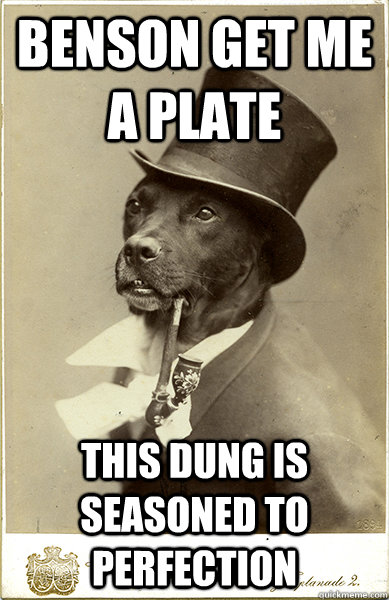 benson get me a plate this dung is seasoned to perfection  Old Money Dog