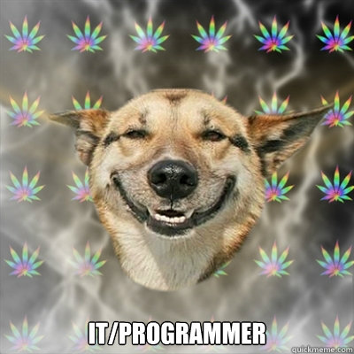  IT/Programmer  Stoner Dog