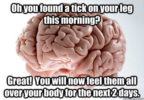 Oh you found a tick on your leg this morning? Great!  You will now feel them all over your body for the next 2 days.  Scumbag Brain