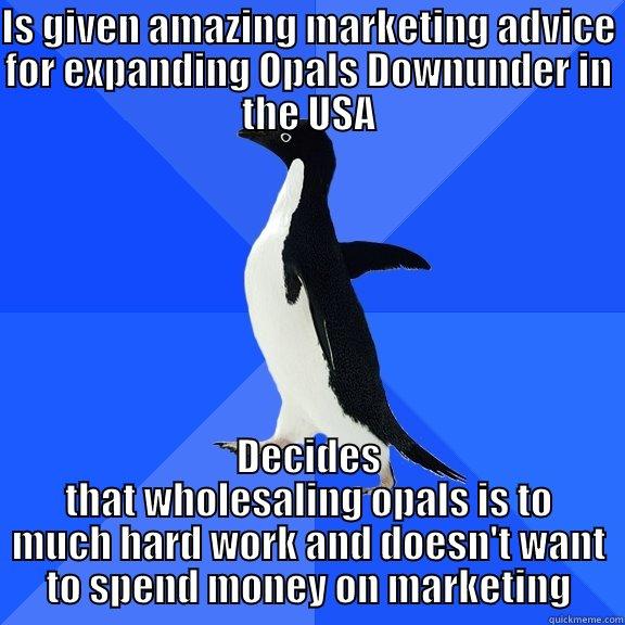 IS GIVEN AMAZING MARKETING ADVICE FOR EXPANDING OPALS DOWNUNDER IN THE USA DECIDES THAT WHOLESALING OPALS IS TO MUCH HARD WORK AND DOESN'T WANT TO SPEND MONEY ON MARKETING Socially Awkward Penguin