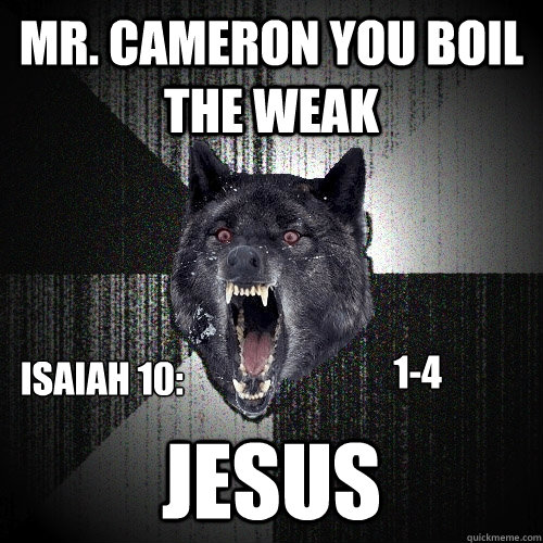 Mr. cameron you boil the weak jesus  isaiah 10: 1-4  Insanity Wolf