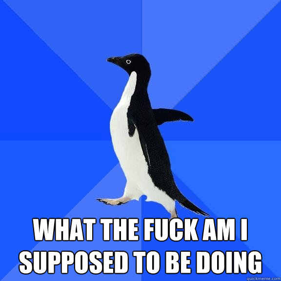  what the fuck am i supposed to be doing  Socially Awkward Penguin